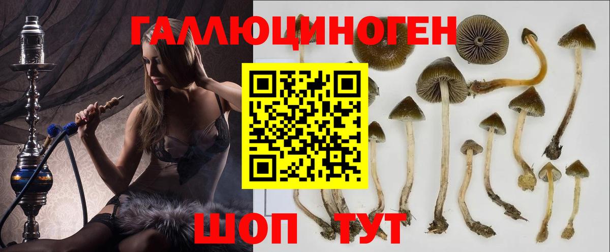 Галлюциногенные грибы мухоморы  Псилоцибиновые грибы мухоморы  Вход с VPN  Касимов 